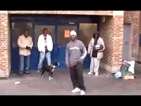 BiZoN CLAN HAUT STYLE - Tarterêts Muzik