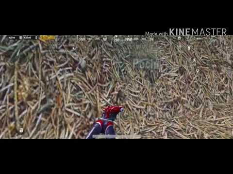 240 fps butter smooth gameplay