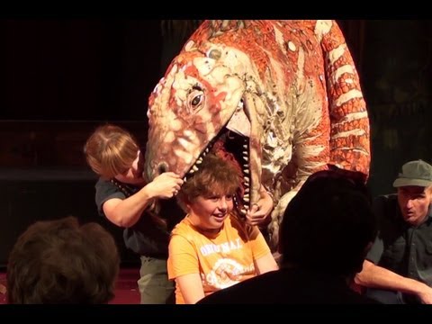 Erth's Dinosaur Zoo - UK Tour 2013 HD - Boy Puts Head in Dinosaur's Mouth!