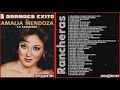 AMALIA MENDOZA SUS MáS HERMOSAS CANCIONES (30 EXITOS INOLVIDABLES) - AMALIA MENDOZA MIX RANCHERAS