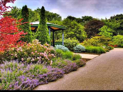 Fernando Casado - Una Primavera Para el Mundo