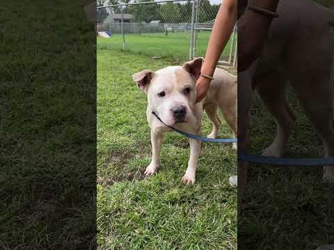 Titus Youtube Video