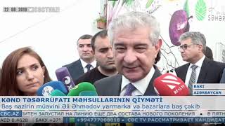 Deputy Prime Minister Ali Ahmadov at "From Village to City" fair