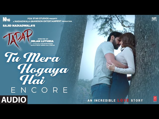 Tu Mera Hogaya Hai Lyrics English Translation – Javed Ali | From Tadap