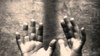 Fireflight What I&#39;ve Overcome - Fisher of Men