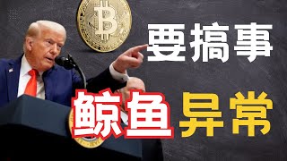 特朗普又要发重大声明？直播巨鲸开仓ETH！