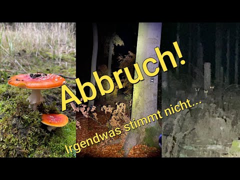 Something's up in the woods... Bad feeling in my gut | Overnighter canceled