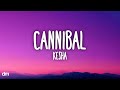 Kesha Cannibal Lyrics