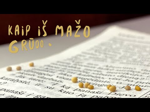 Iš nieko - Kaip iš mažo grūdo