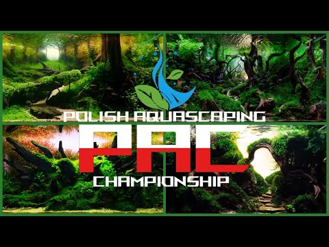 Wyniki Polish aquascaping championships 2024