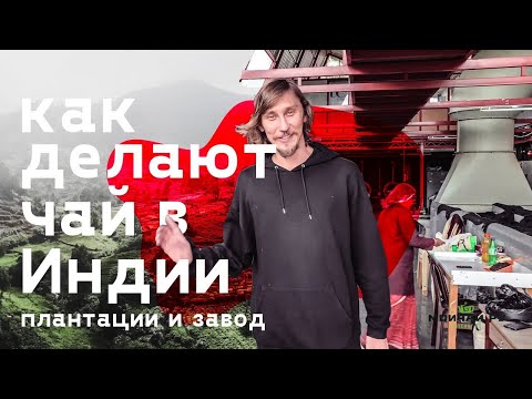 Черный дракон из Нилгири, байховый чай