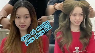 Share cool brown dye #trungmaster #hair #zalo0987897605