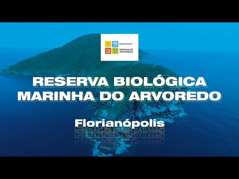 Ilha do Arvoredo, Santa Catarina/BR