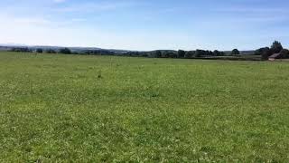 Say Anything- Girl In Red