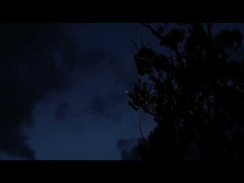 hisohkah, WMD - School Rooftop - (Slowed + Bird Sounds 10 min)