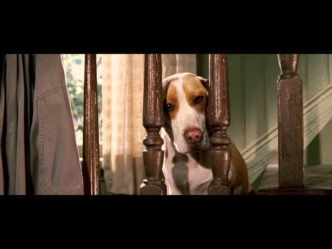 Суперпес - Трейлер