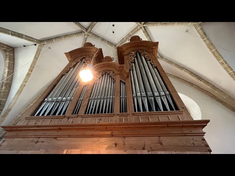 TOUR OF STOPS: Johann-Dummel organ - Tamsweg St. Leonhard