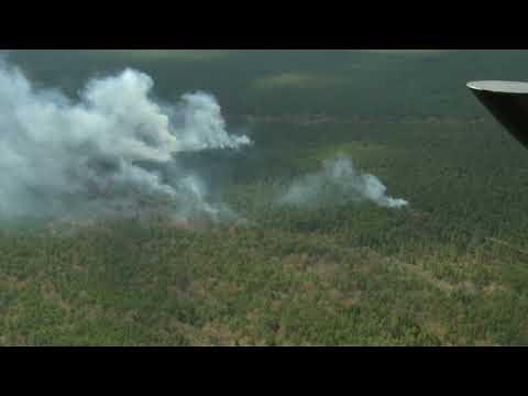 Wharton State Forest Fire
