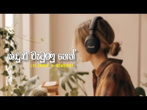 කඳුලු වැටුනු නෙත් - Kandulu Wetunu Neth (Slowed + Reverb)