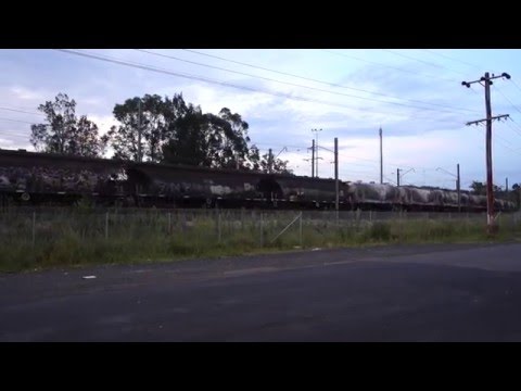 Triple 81's with 4124 - 20/1/16