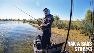 Last minute decision to fish this tournament