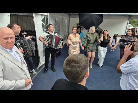 Orkestar Darka Antića "Lavovi" Kod Vlade🪗🪗🎤🎤🍷🎹🥁🪗