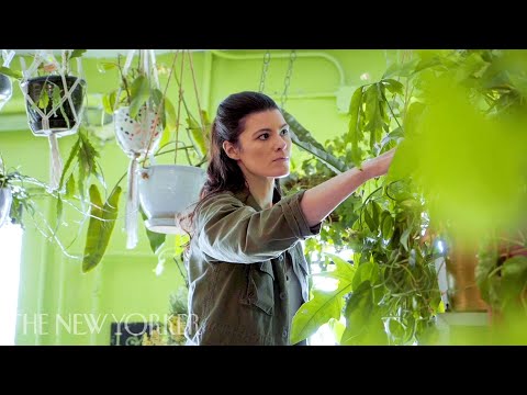 Why Millennials Love Their Houseplant Jungles | Annals Of Obsession | The New Yorker