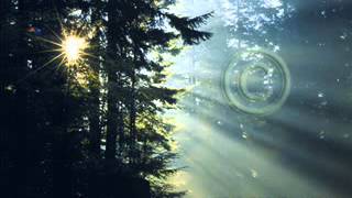 Tomorrow Too Late- Saves The Day