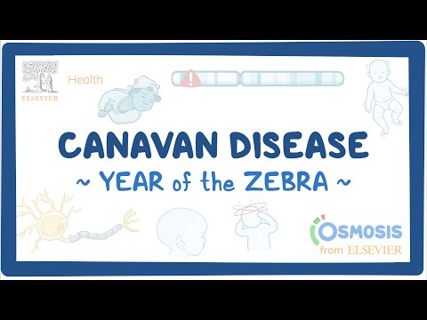 Canavan disease Year of the Zebra