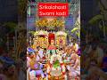 Srikalahaswera Swami Kodi Sivarathri Srikalahasti Swami Kodi Native Ytshorts