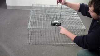 Remote Control Trigger for Drop Trap