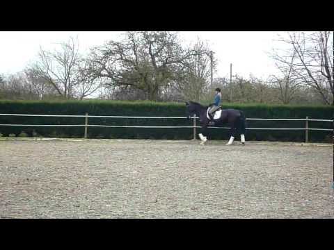 German Horse Center Challenge - A-Dressur  -7,2- 7.Platz