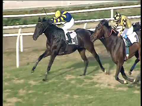 Galoppo 04/01/2018 - 1ª corsa