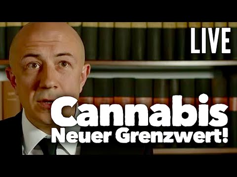Cannabis und Führerschein ab dem 1.4. - Alle Antworten - LIVE
