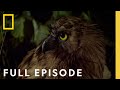 Night Of The Living Dead Full Episode Dead By Dawn