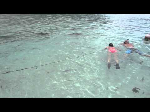 Céline et les requins au Motu Ahi