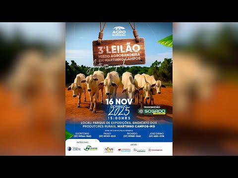 3º LEILÃO AGRO BANDEIRA E SINDICATO DE MARTINHO CAMPOS/MG - 16/11/2025