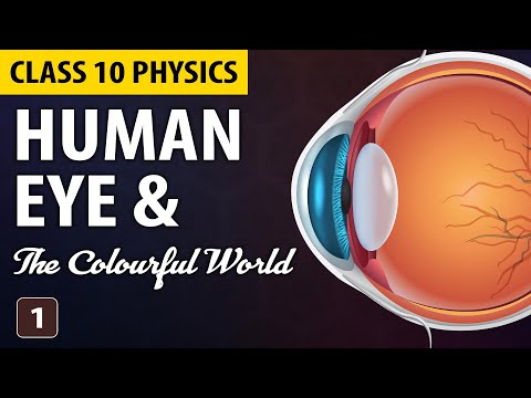 Human Eye and Colourful World Class 10 Part 1 (Animation) | Class 10 Science Chapter 11 | CBSE