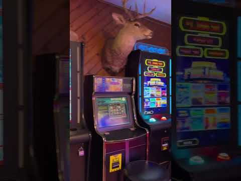 Ponda Bar Video Review