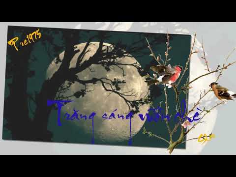 Trăng sáng vườn chè Sheet - Xuân Sơn