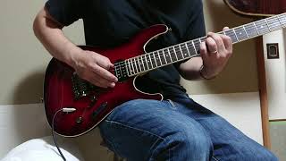 teocracy - paper tiger(Guitar cover)