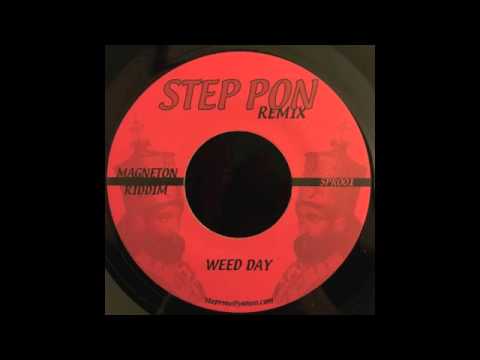 Mr. Vegas - Weed Day (DJ Stepwise Rmx) - Step Pon Remix 001