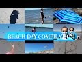Beach Day Compilation Extra Seagulls Attack Each Other For Fritos
