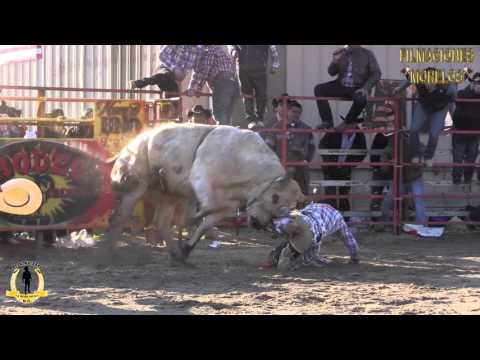 NO LA VIO VENIR EL KORA DE CAMPUSANOS V/S EL MATA SANOS DE RANCHO LA HERRADURA