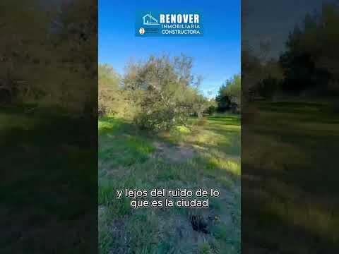 ¿Buscás un cambio real de vida? Este lote en Cortaderas es tu ANTES y DESPUÉS 🔥