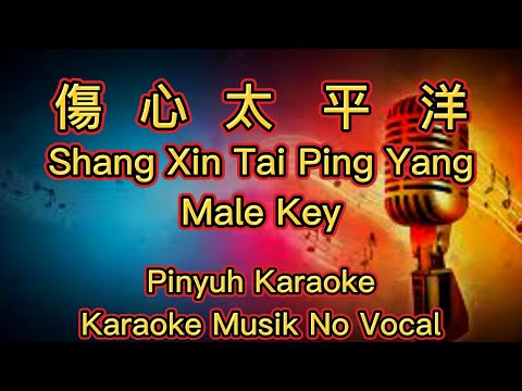 Shang Xin Tai Ping Yang ~ 傷心太平洋 ~ Karaoke ~ Musik No Vocal