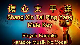 Download lagu Shang Xin Tai Ping Yang ~ 傷心太平洋 ~ Karaoke ~ Musik No Vocal mp3
