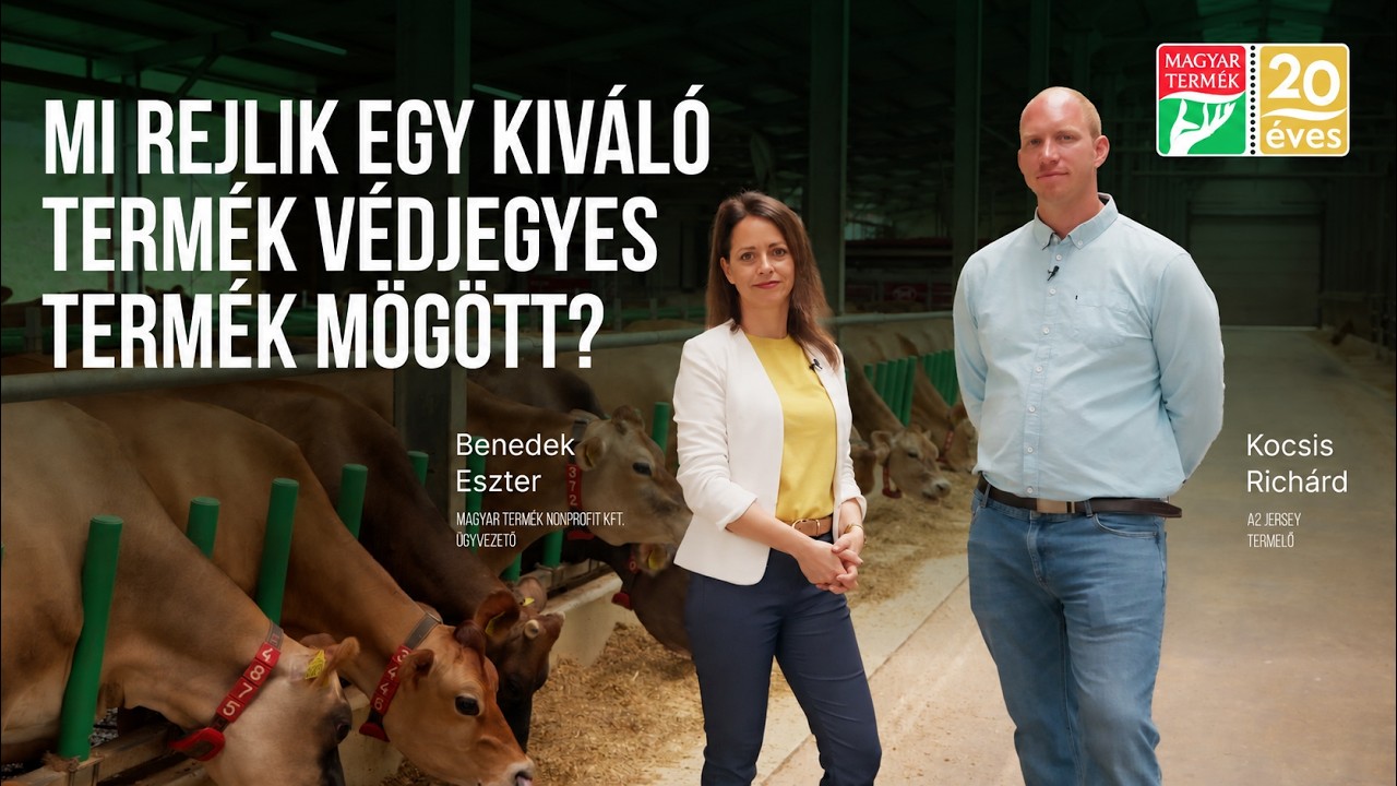 Mitől lesz kiváló egy termék? | A Jersey A2 Tej példája