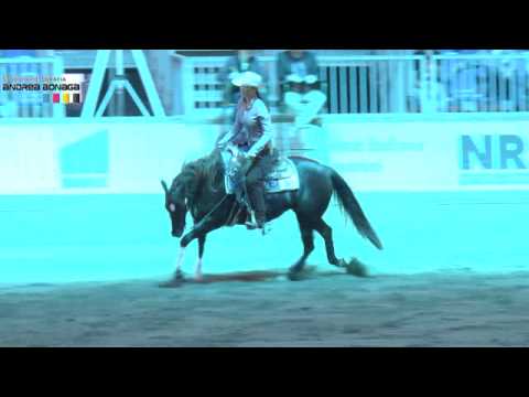 ANN FONCK POELS CDS RUBY SHINES CD S QUARTER HORSES