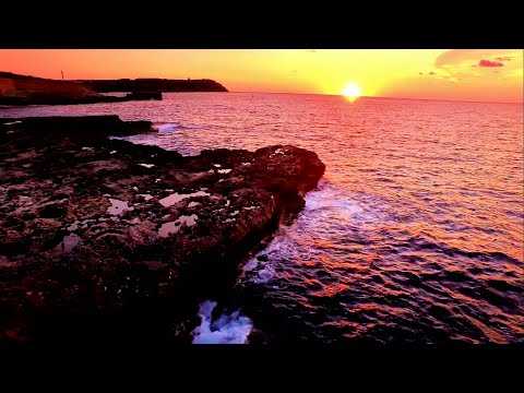 Marsh & Wassu - Amor